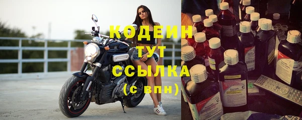 индика Белокуриха