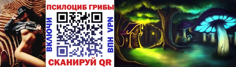 Купить  Новый Уренгой  Псилоцибиновые грибы Psilocybe 